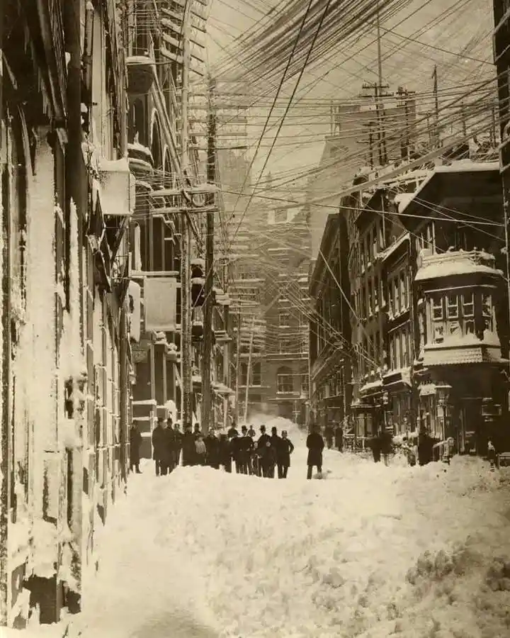 New York City Blanketed in Snow: A Glimpse from 1888