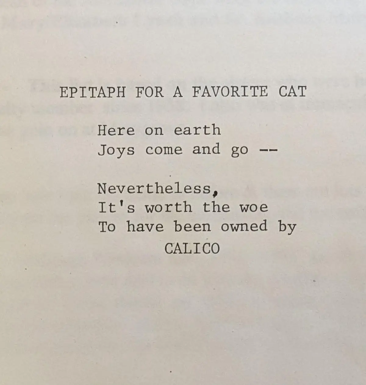 A Heartfelt Epitaph for My Beloved Cat