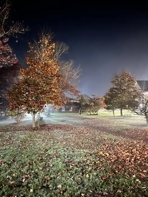 A nighttime photo of a park with autumn trees, fallen leaves on the grass, and benches, overlaid with the text 'i'm not…