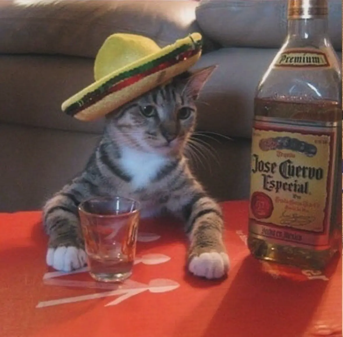 Booted from the Cartel: A Dramatic Exit