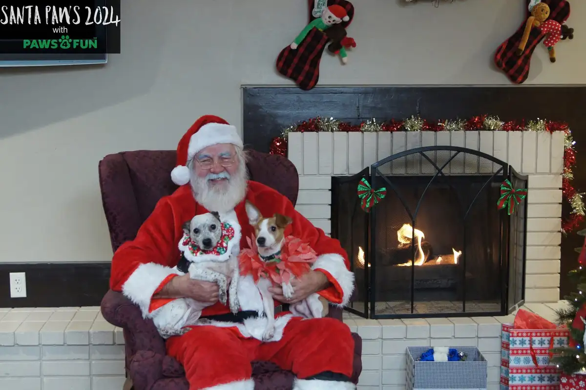 Season's Greetings from Fiona and Pip!
