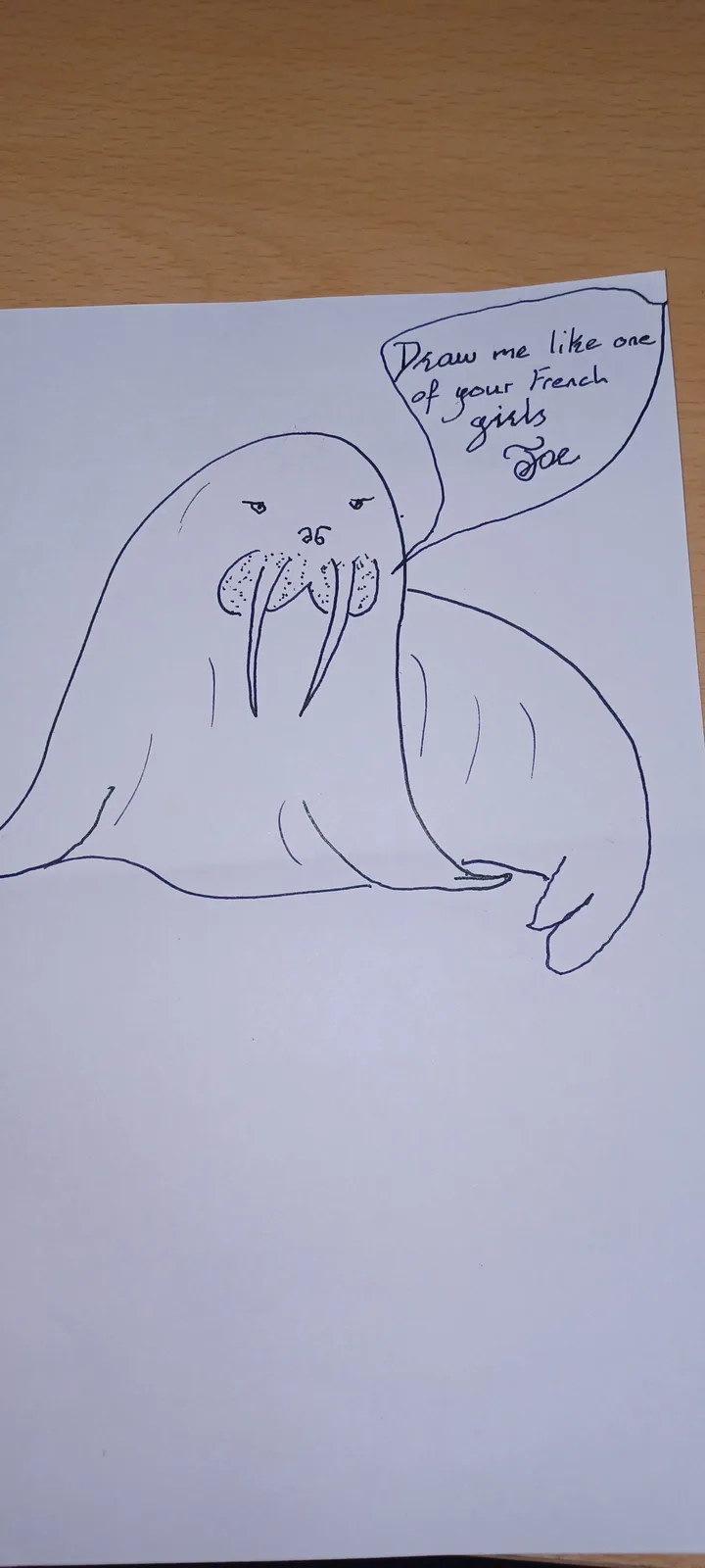 A hand-drawn black-and-white line art of a walrus with a speech bubble that reads 'Draw me like one of your French girls…