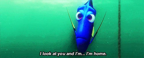 The image displays six panels of Dory, the blue animated fish from 'Finding Nemo,' looking directly at the viewer with…