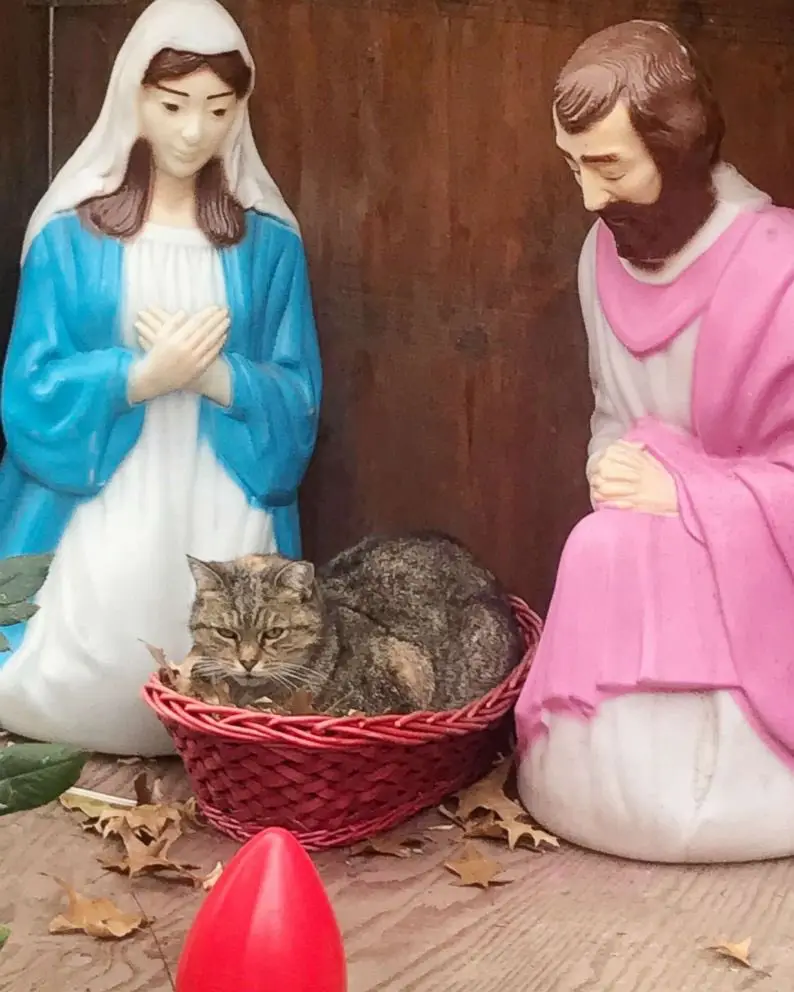 A photograph shows two plastic religious statues, Mary in a blue robe and Joseph in a pink robe, kneeling on either side of…