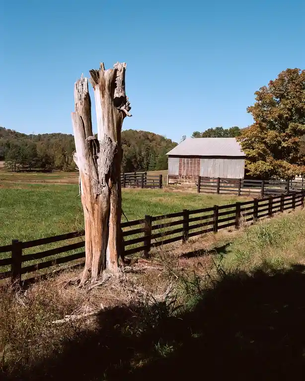 A weathered, broken tree stump stands in a grassy field beside a black fence, with a rustic barn and autumn trees in the…
