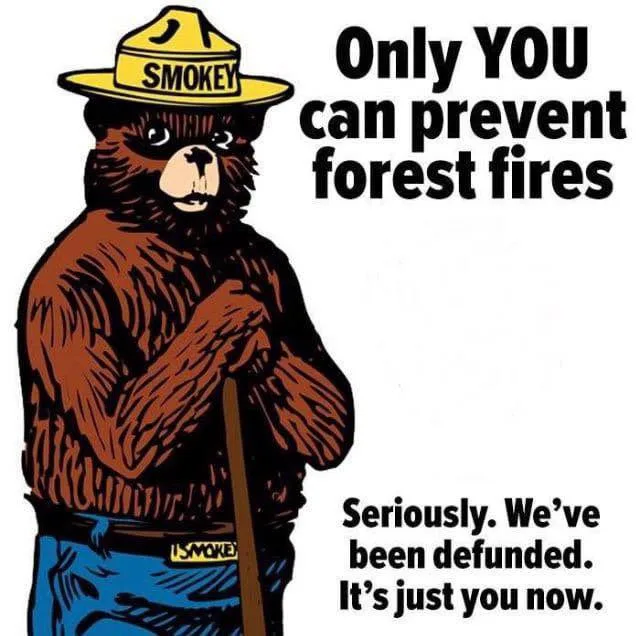 A cartoon illustration of Smokey Bear, wearing his iconic yellow hat with 'SMOKEY' written on it and blue pants with a…