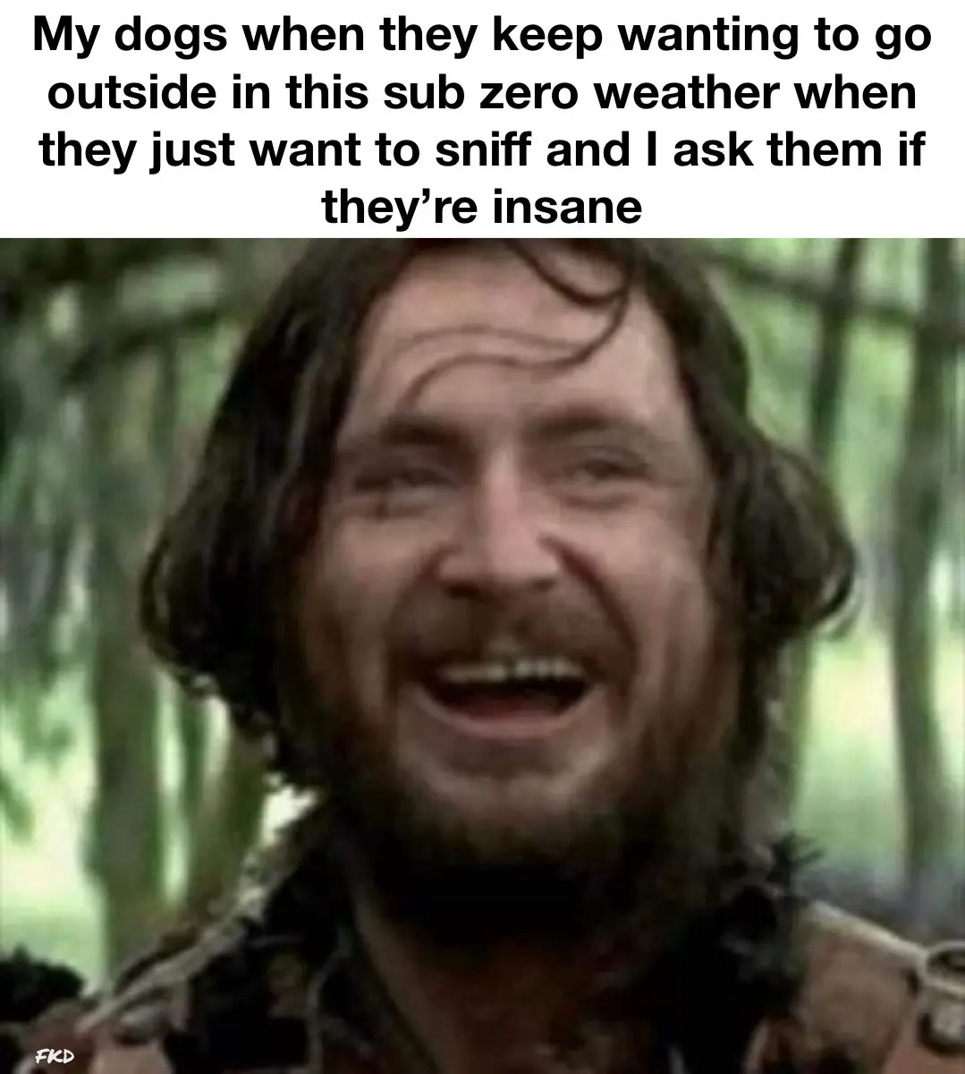 A close-up image of a man with long dark hair and a beard, laughing maniacally with his mouth open, set against a blurred…