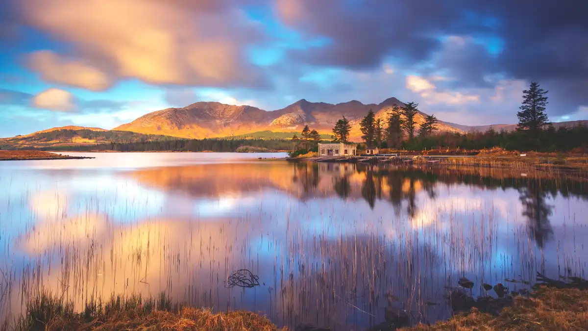In Ireland's County Galway, the Gaeltacht region, where Irish is spoken daily, shines bright. Connemara, in particular…