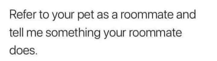 The image displays plain black text on a white background. The text reads: 'Refer to your pet as a roommate and tell me…