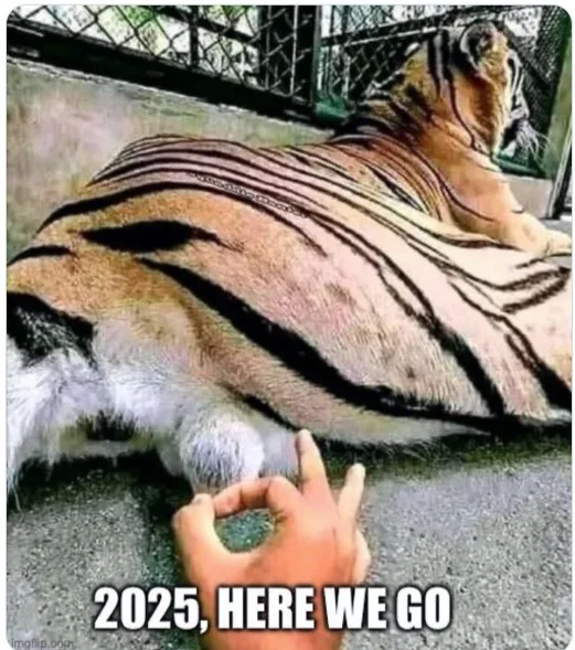 A large tiger is lying down in an enclosure, viewed from behind, with a human hand in the foreground making an 'OK' gesture…