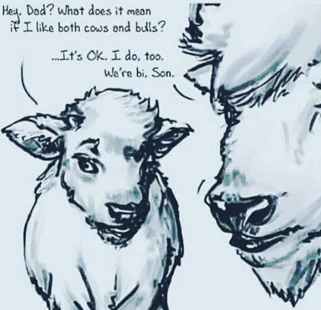 A black-and-white sketch shows a young calf looking up at an adult bull. The calf asks its dad what it means to like both…