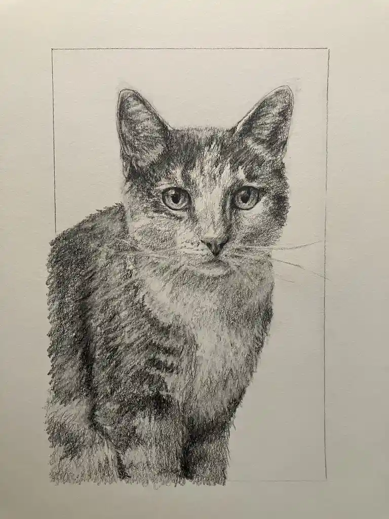 Capturing Another Adorable Pet Portrait