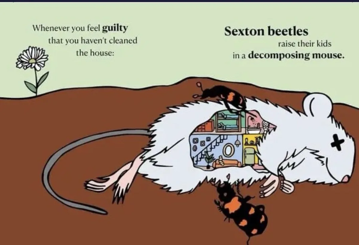 A cartoon depicts a white mouse lying dead in dirt, its body hollowed out to reveal a miniature house interior with…
