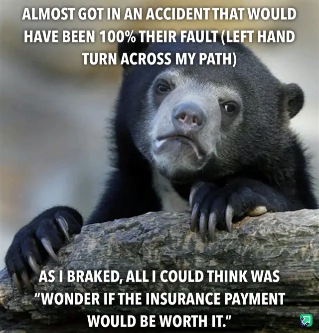 A close-up photo of a sad-looking spectacled bear resting its paws on a log, with white text overlaid in two blocks. The top…