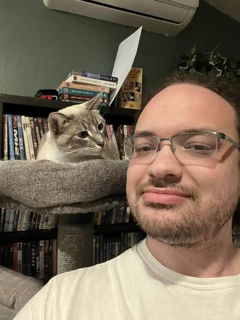 A man with glasses and a slight smirk takes a selfie, with a grey and white cat sitting calmly on a cat tree behind him. The…