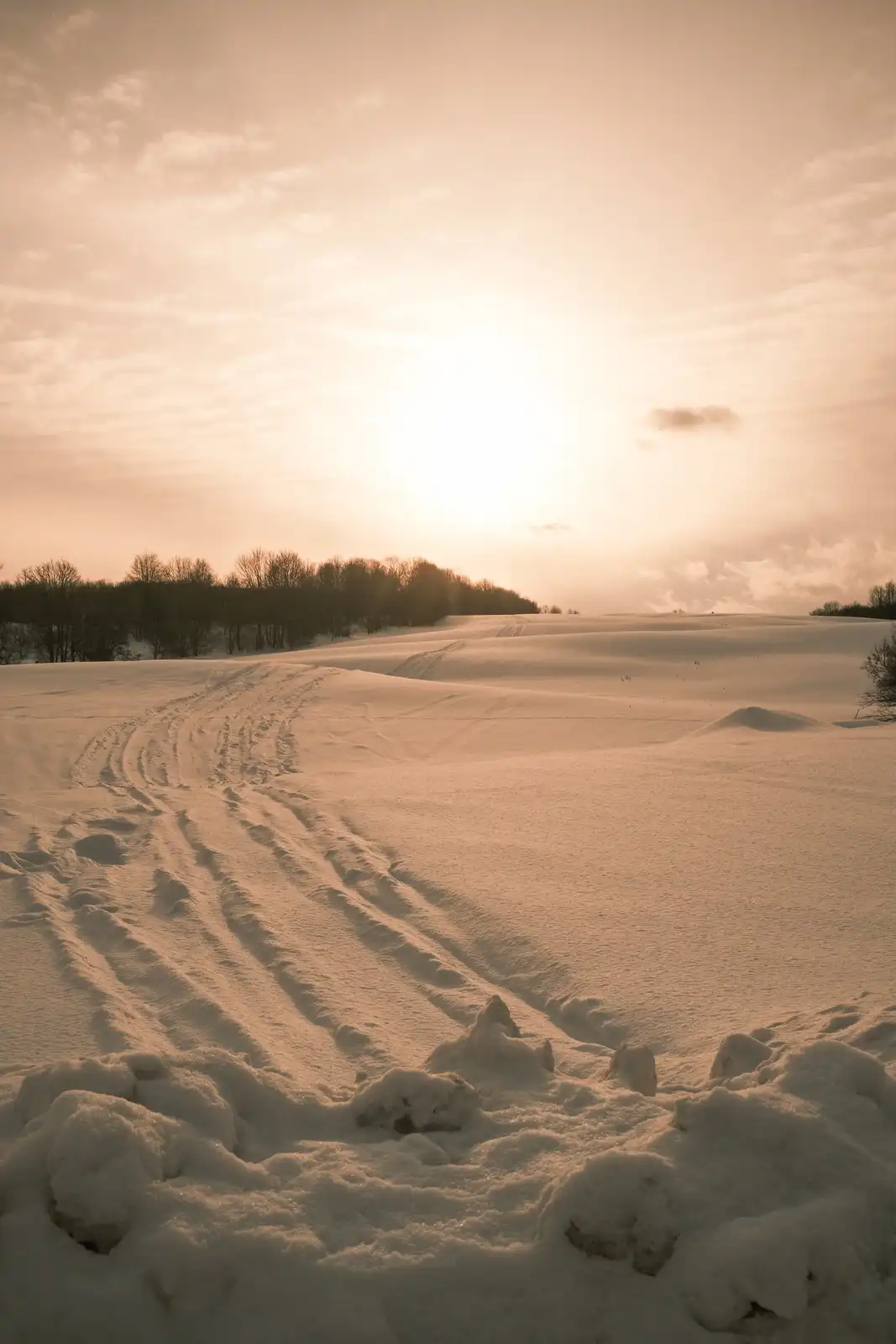 A serene, sepia-toned photograph of a snow-covered field with tire tracks winding through it, leading toward a distant…