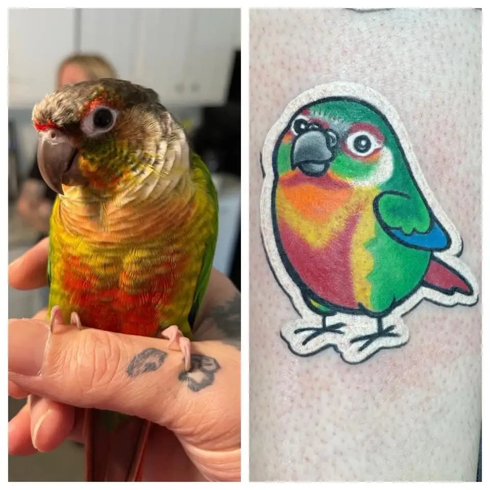 The image is a side-by-side comparison: on the left, a real green, yellow, and red parrot perched on a person's hand, with…