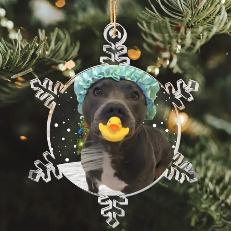 A dark grey pit bull dog wearing a light blue shower cap and holding a yellow rubber duck in its mouth, framed within a…