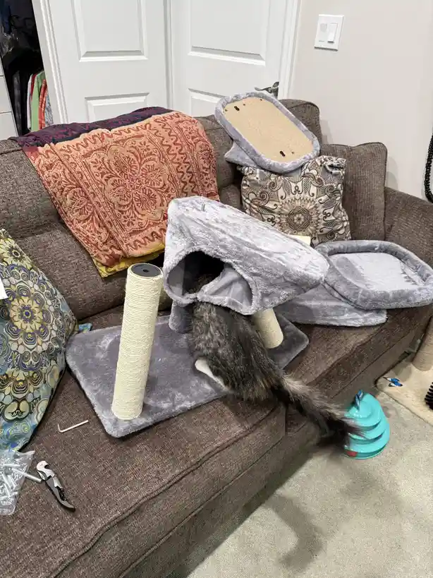 A gray tabby cat is partially hidden inside a gray plush cat tree that is assembled on a brown couch, with its tail hanging…