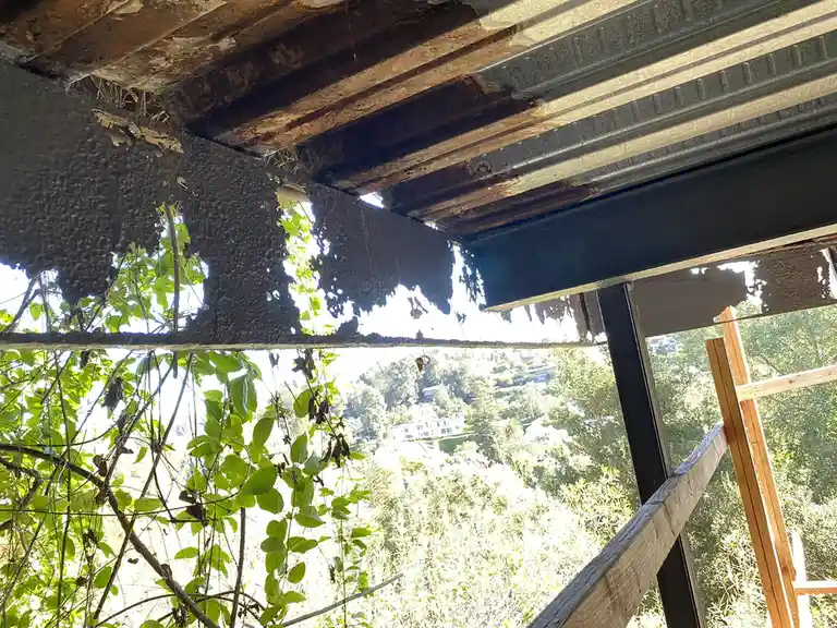 A photo shows a dilapidated outdoor structure with a severely damaged ceiling, exposing rotten wooden beams, corrugated…