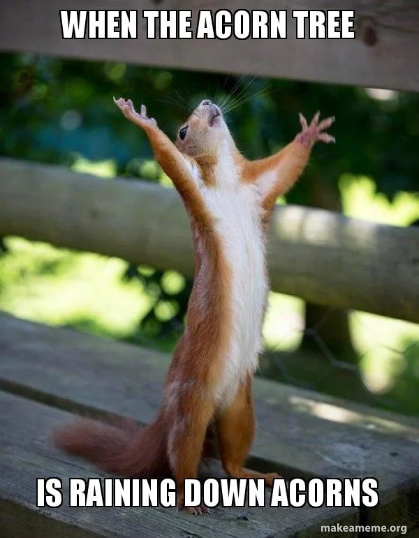Let’s give a shoutout to the acorns!