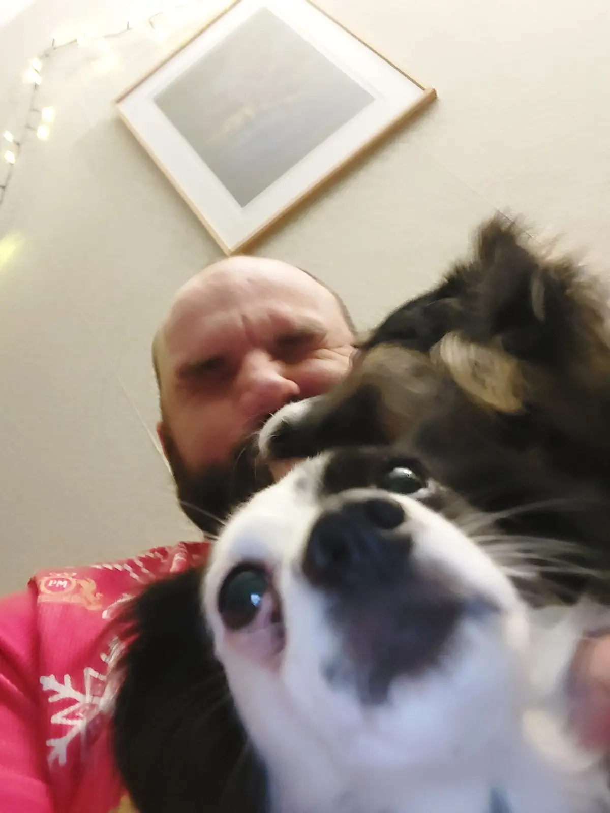 A blurry, low-angle selfie shows a man with a beard and a red holiday shirt holding a black-and-white dog close to the…