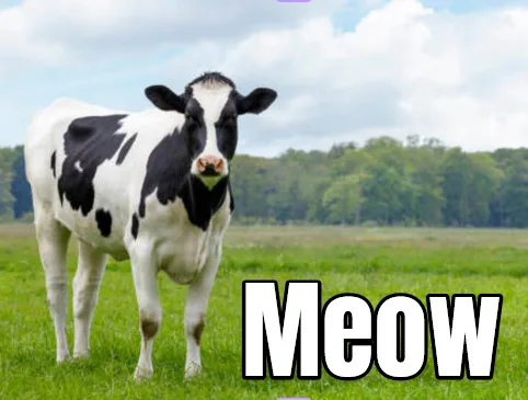 A black and white cow stands in a green field under a cloudy sky, looking directly at the camera. Large white text with a…
