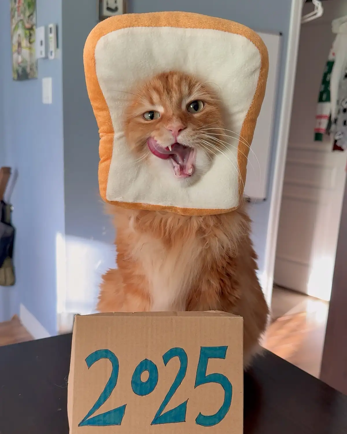 An orange tabby cat wears a plush bread slice headband and sticks its tongue out while looking at the camera, with a…