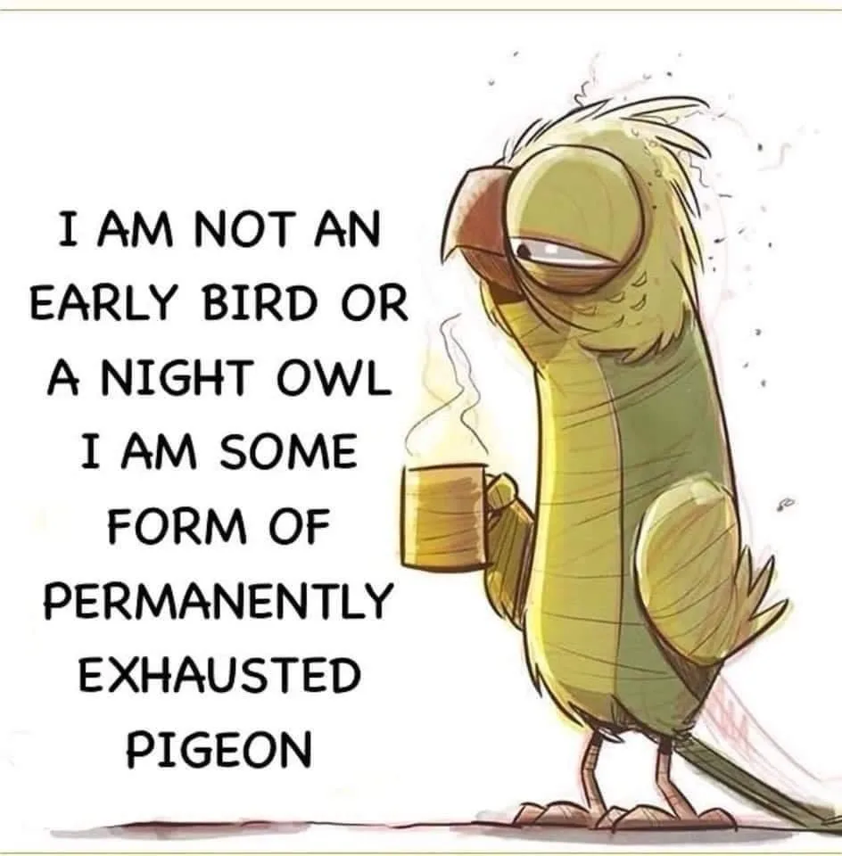 A cartoon illustration of a tired-looking yellow-green bird holding a steaming mug, with text overlaid that reads 'I AM NOT…