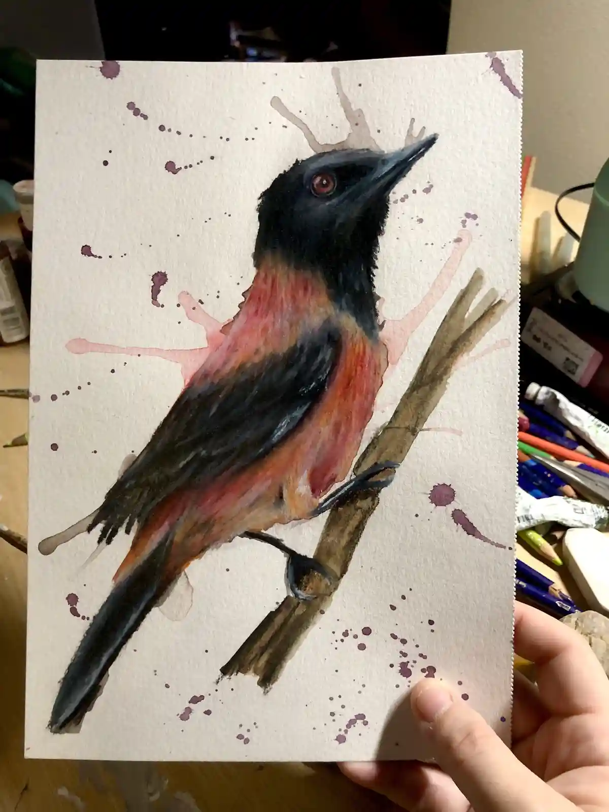 A hand holds up a watercolor painting of a bird with black head and tail, reddish-orange chest, perched on a branch…