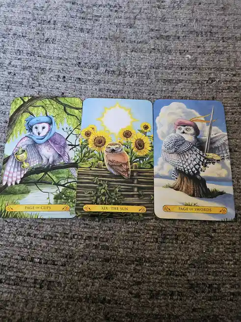 Three tarot cards featuring owls are laid out side-by-side on a textured gray surface. The left card shows an owl in a blue…
