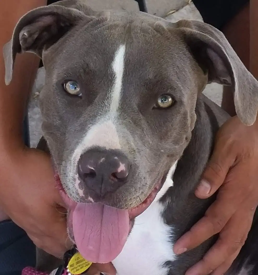 Meet Blu: Your New Favorite Character