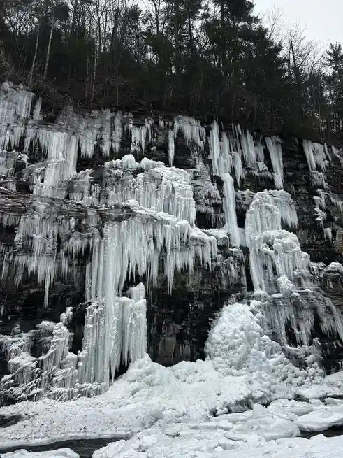 A frozen waterfall with thick icicles hanging from a dark cliff face, surrounded by bare trees under an overcast sky. The…