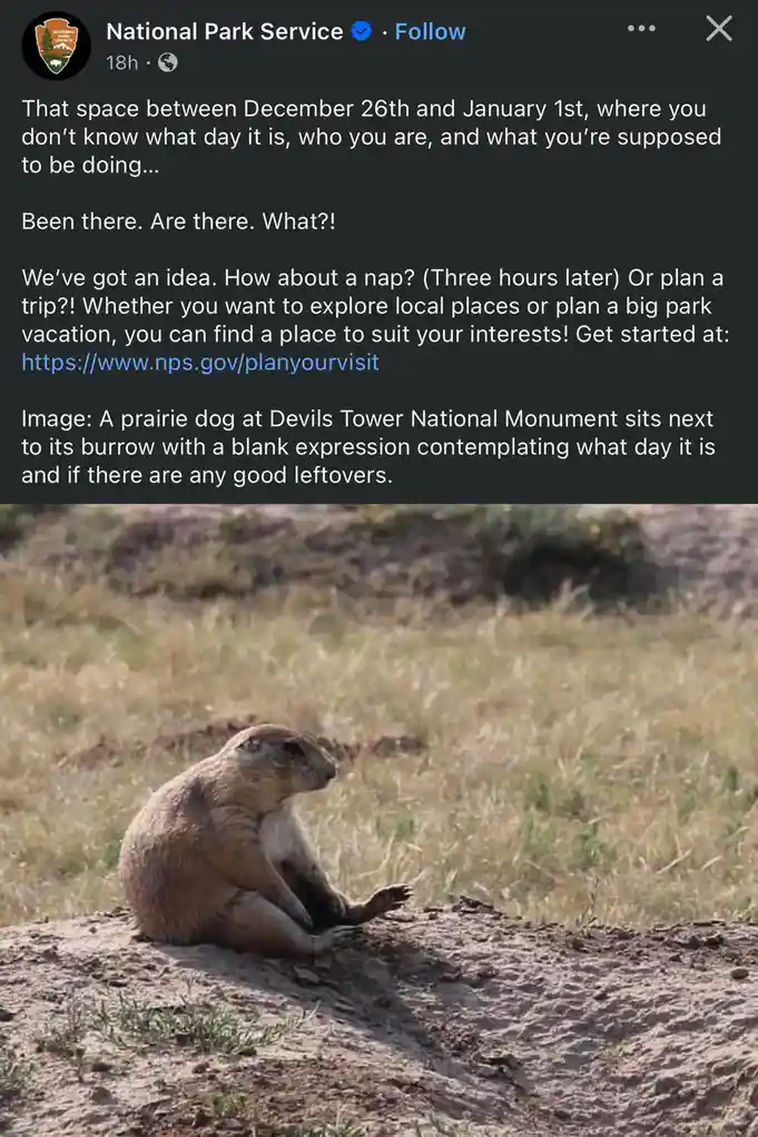 The Genius Behind NPS Socials Deserves a Standing Ovation
