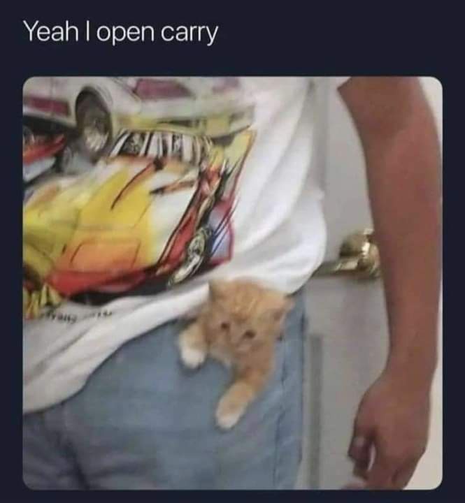 The Ultimate Weapon of Mass Cuteness