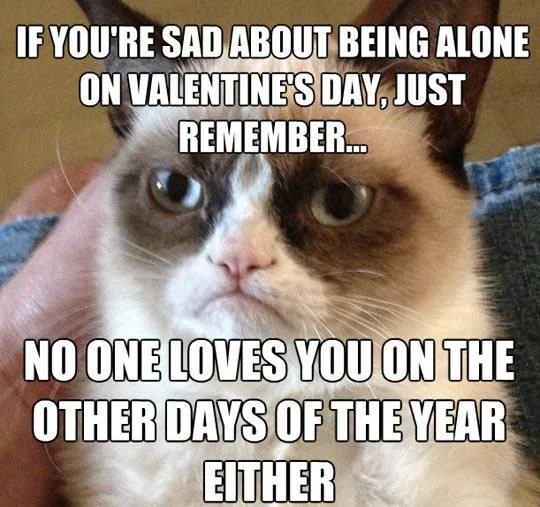 A close-up photo of the famous Grumpy Cat, with a visibly displeased expression, is overlaid with bold white text that…