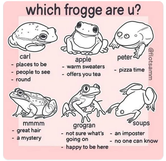A pink-background meme featuring six cartoon frogs, each with a name and three personality traits listed below. The frogs…