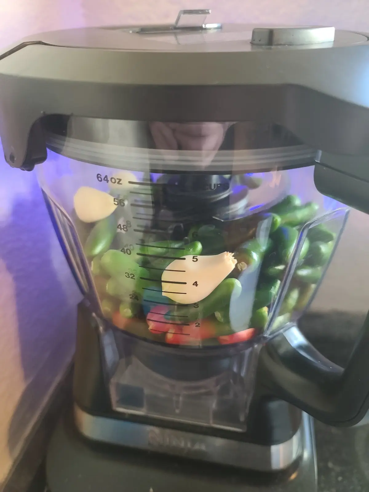 A close-up photo shows a Ninja blender filled with green beans, red peppers, and several cloves of garlic. The garlic cloves…