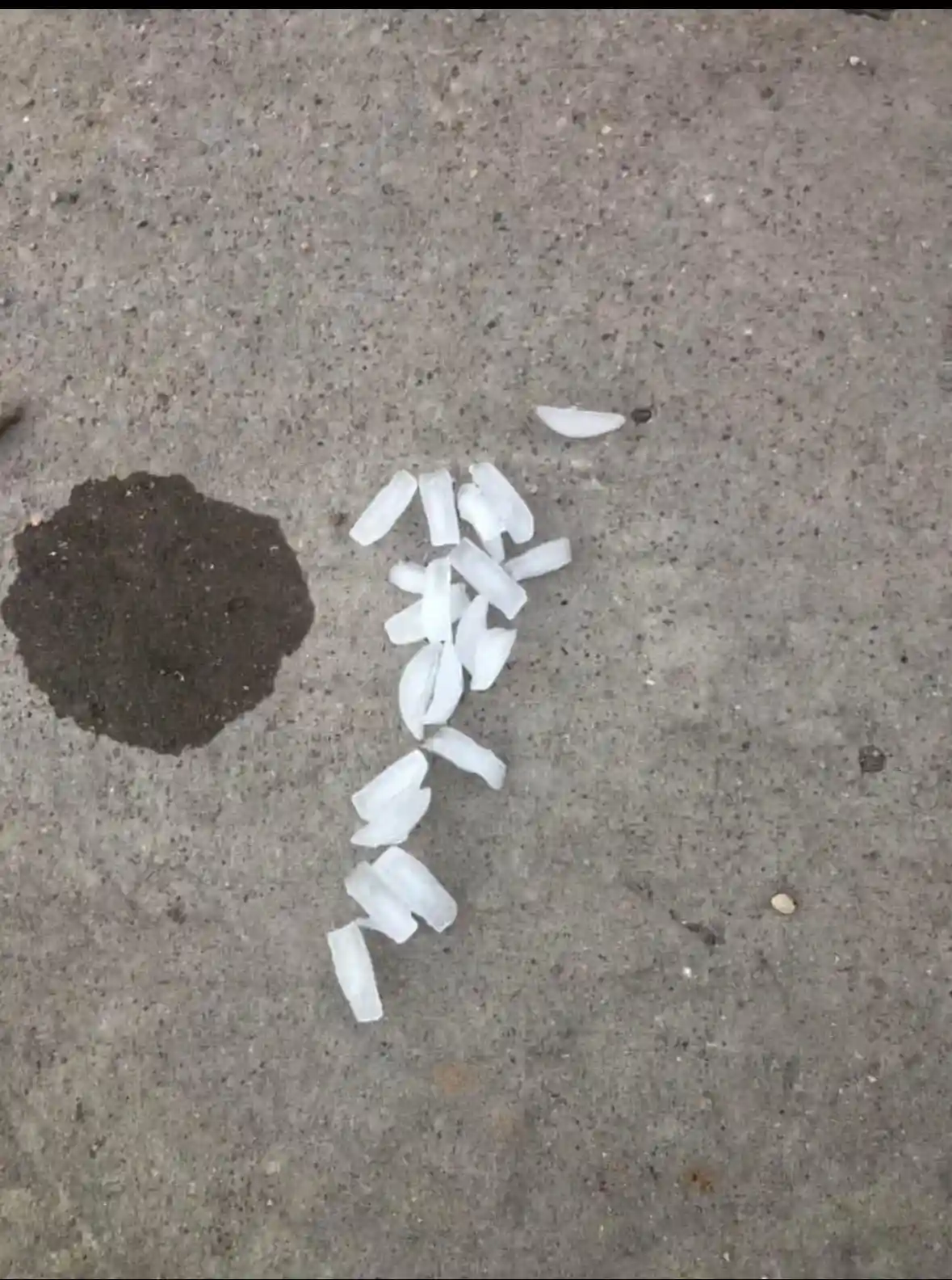 A close-up photo shows a small pile of white, translucent, irregularly shaped ice shards scattered on a gray concrete…