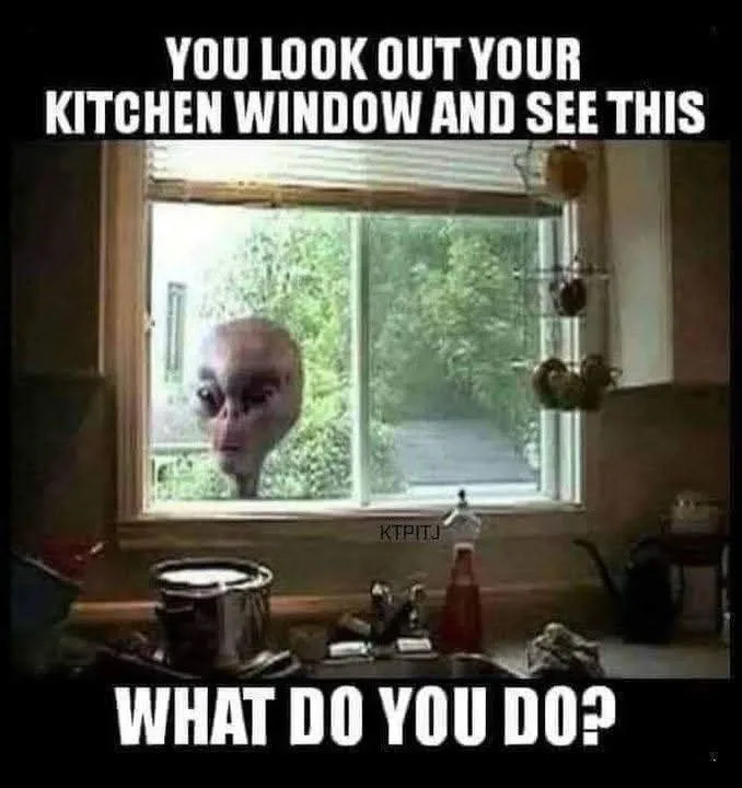 A classic internet meme image shows a large, grey alien with big eyes peering through a kitchen window. The scene is set in…