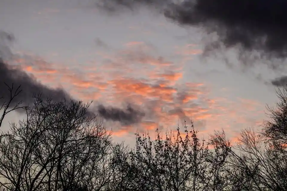A serene sky at dawn or dusk with orange and pink clouds illuminated by the sun, framed by the dark silhouettes of bare tree…