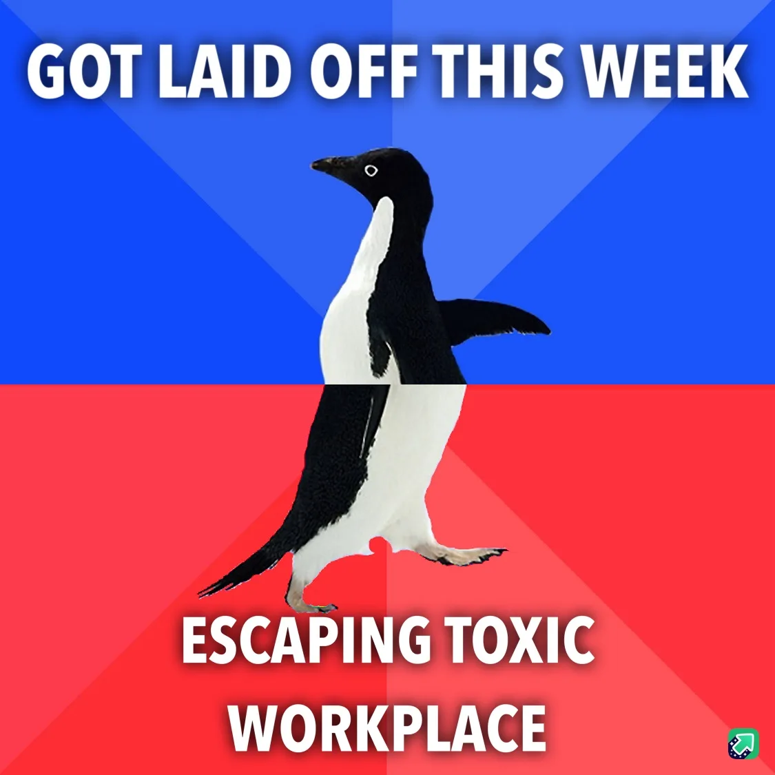 A black-and-white penguin walks across a split background of blue and red, with the text 'GOT LAID OFF THIS WEEK' at the top…