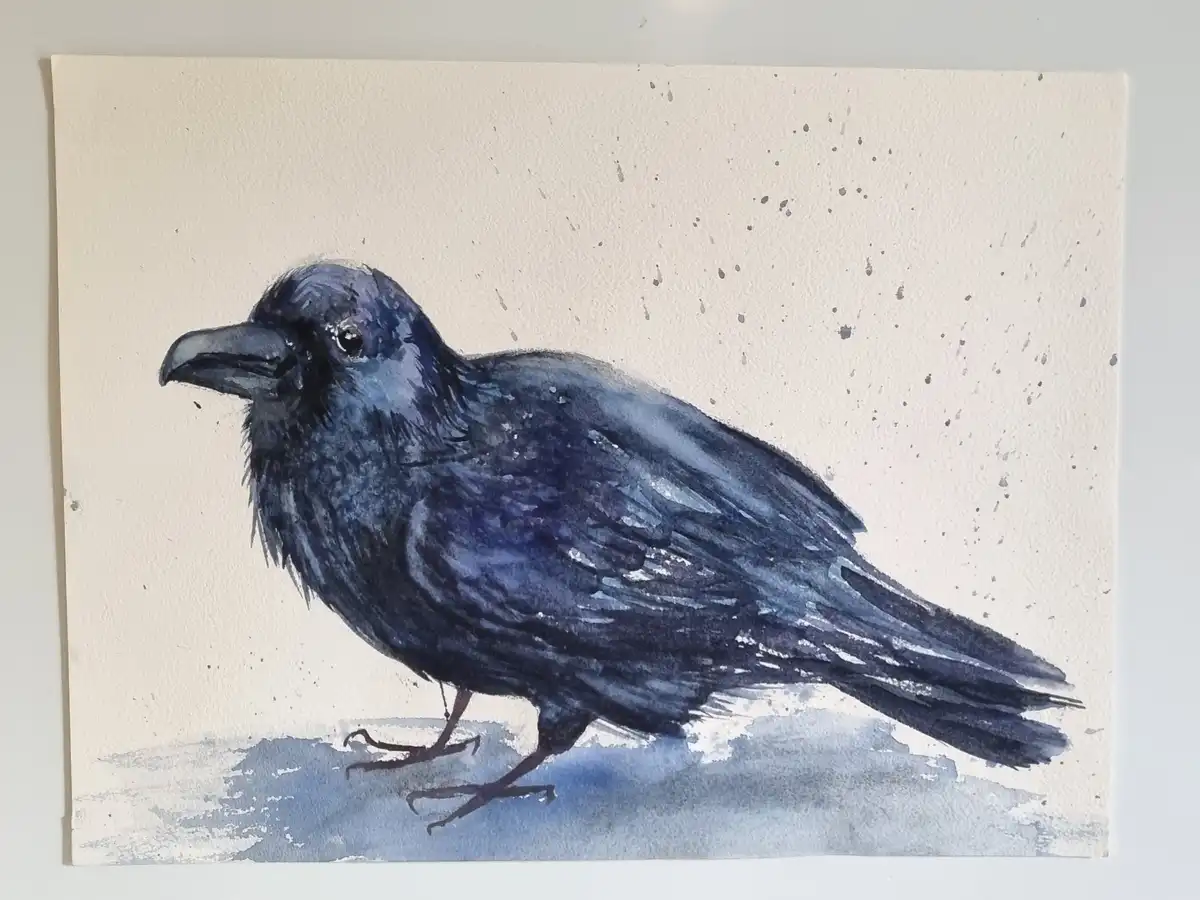 A watercolor painting of a black bird, likely a raven, standing on a blue-gray surface against a textured off-white…