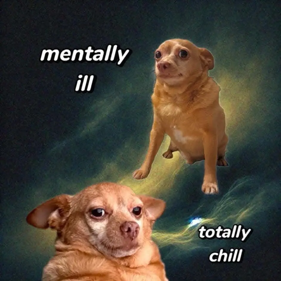 Two chihuahuas are shown against a cosmic nebula background. The top dog, floating, is labeled 'mentally ill,' while the…