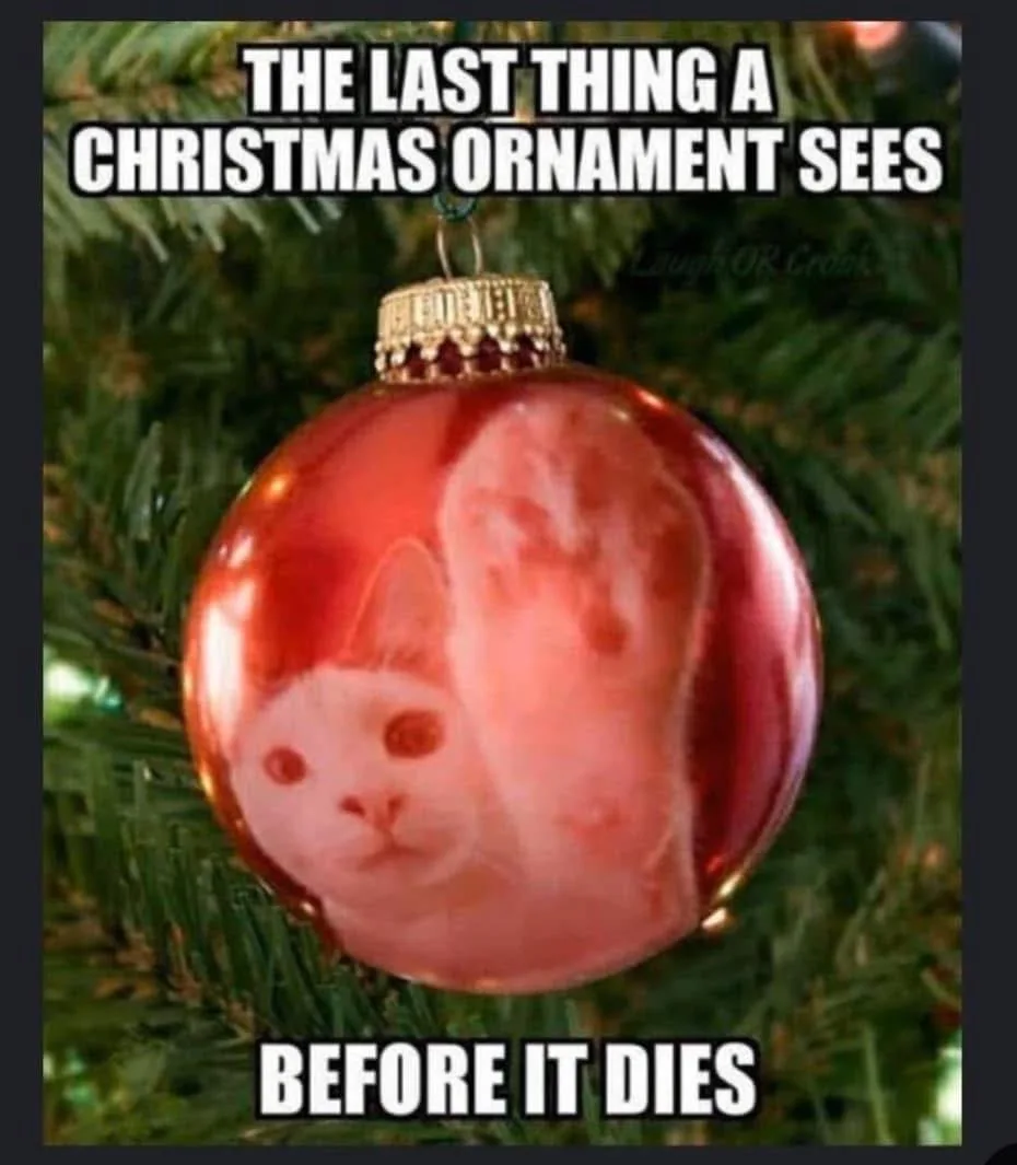 A shiny red Christmas ornament hangs on a green tree, with a distorted reflection of a white cat's face visible inside. The…