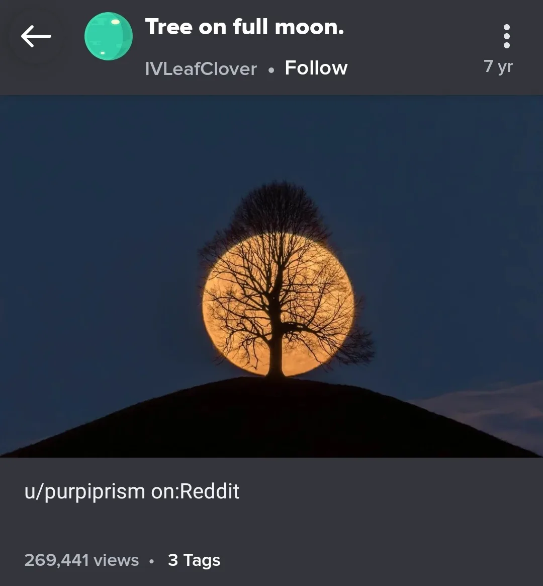 A bare tree stands silhouetted on a hilltop with a large, bright full moon perfectly centered behind it, creating a dramatic…