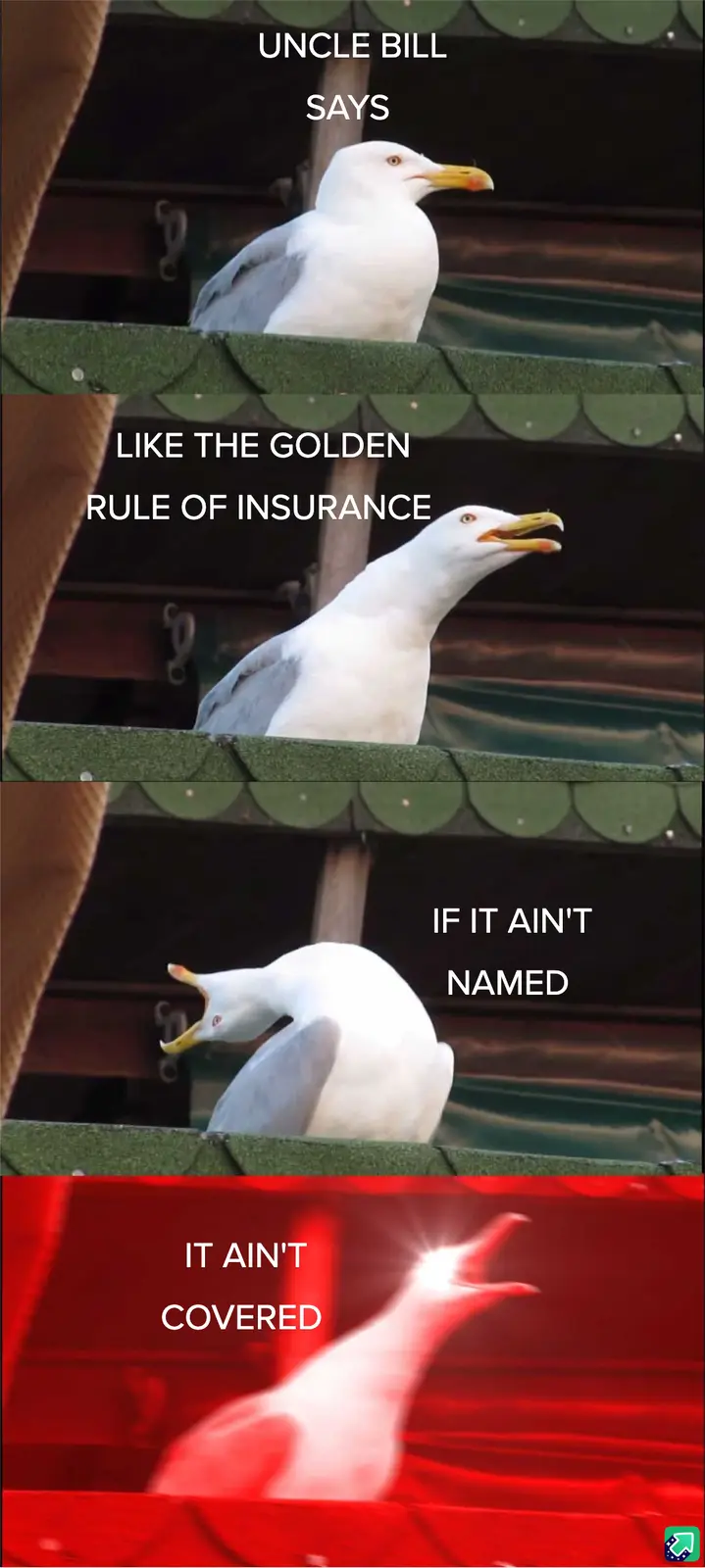 A three-panel meme featuring a seagull in different poses. In the first panel, the seagull looks calm with text 'UNCLE BILL…