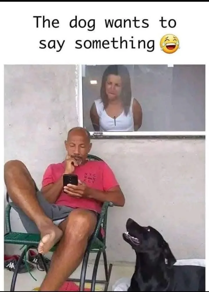 A man in a pink shirt sits in a green chair, looking at his phone, while a black dog beside him looks up with an open mouth…