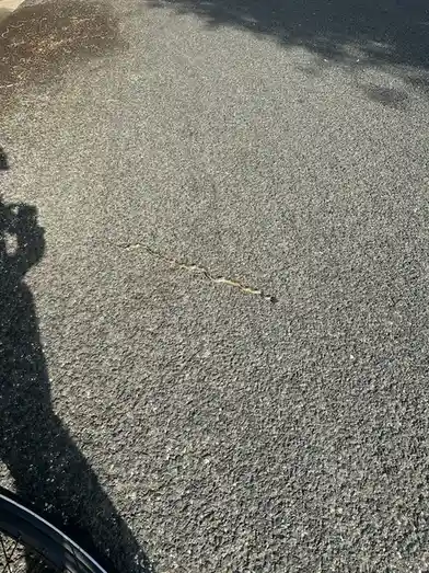 A long, patterned snake crawls across a paved asphalt surface under bright sunlight, with the shadow of a person holding a…