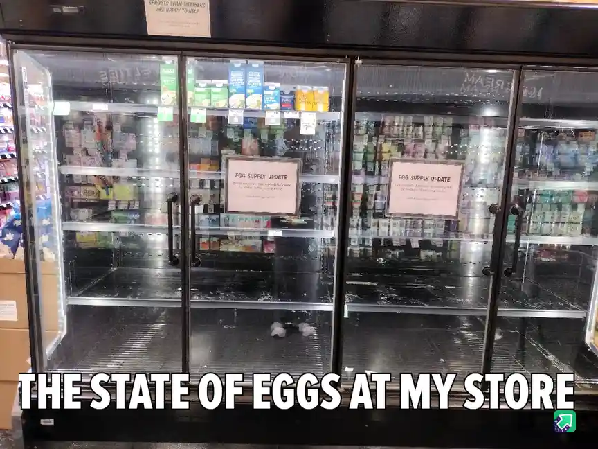 A photo of nearly empty refrigerated egg shelves in a grocery store, with two signs reading 'EGG SUPPLY UPDATE' and a large…